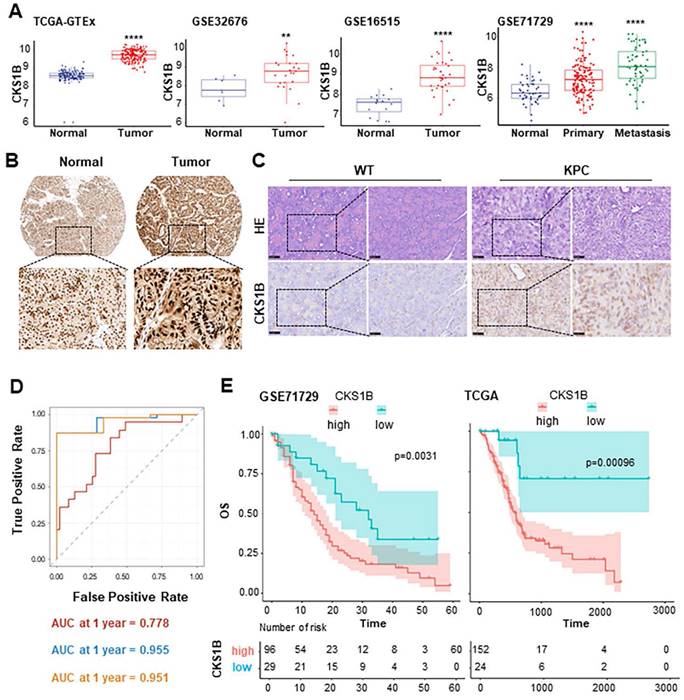 Int J Biol Sci Image