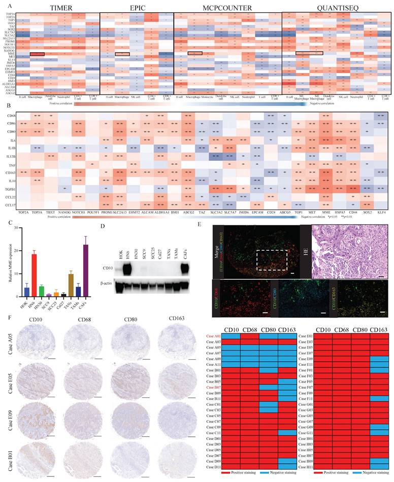 Int J Biol Sci Image