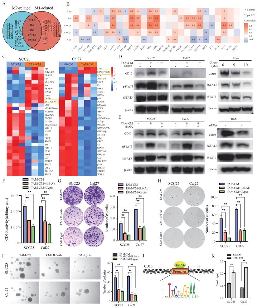 Int J Biol Sci Image