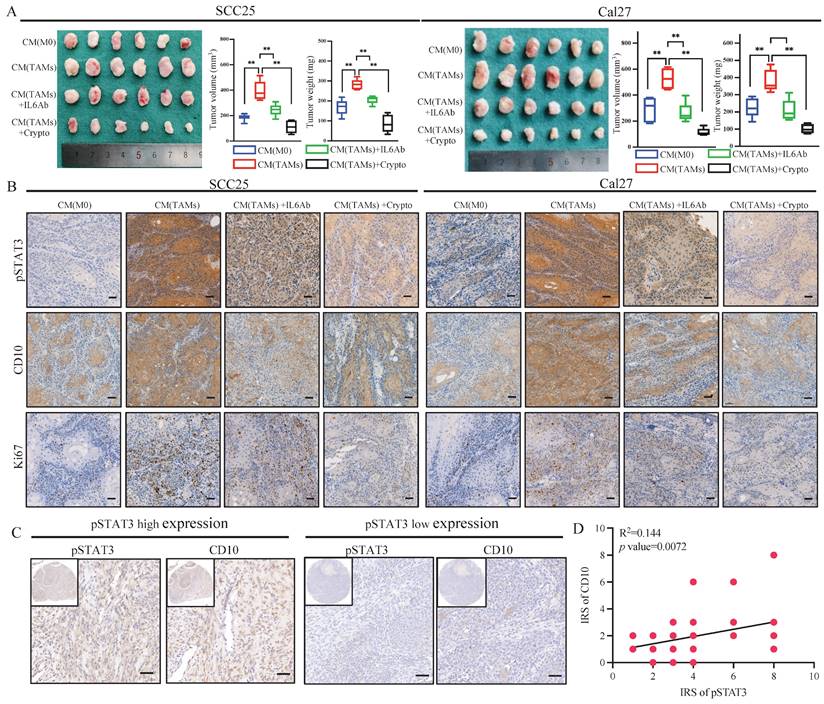 Int J Biol Sci Image