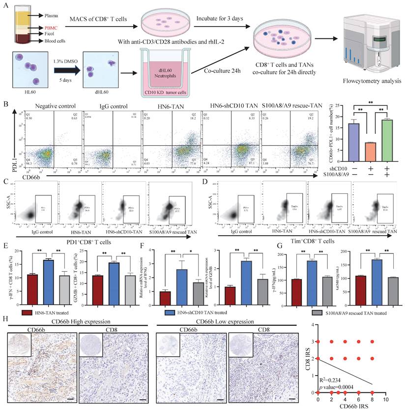 Int J Biol Sci Image