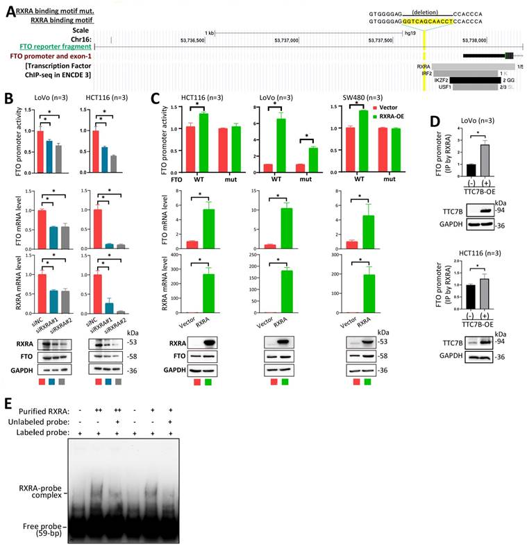 Int J Biol Sci Image