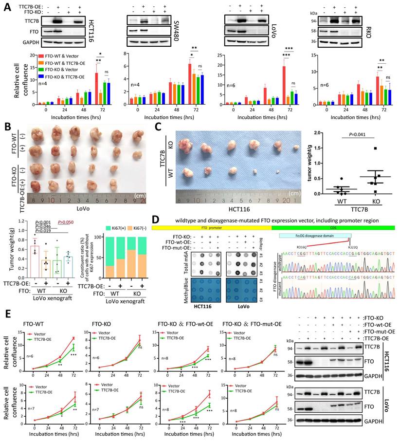 Int J Biol Sci Image