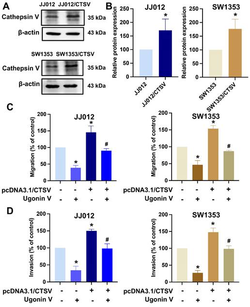 Int J Biol Sci Image