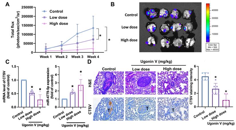 Int J Biol Sci Image