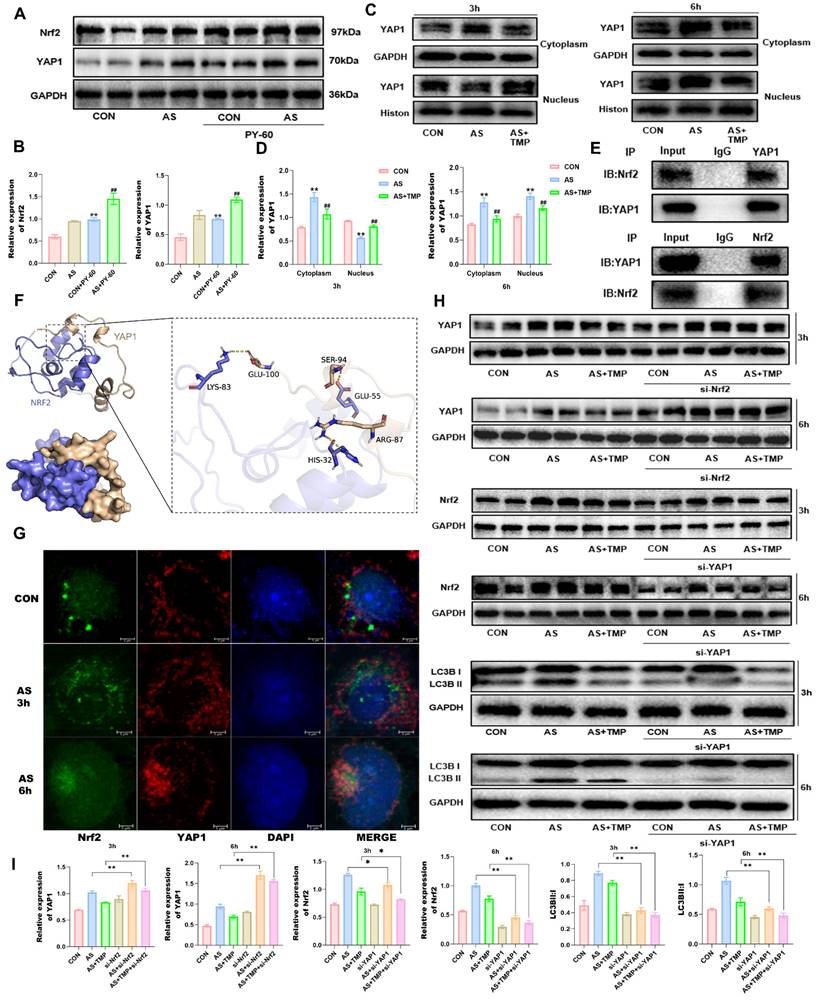 Int J Biol Sci Image