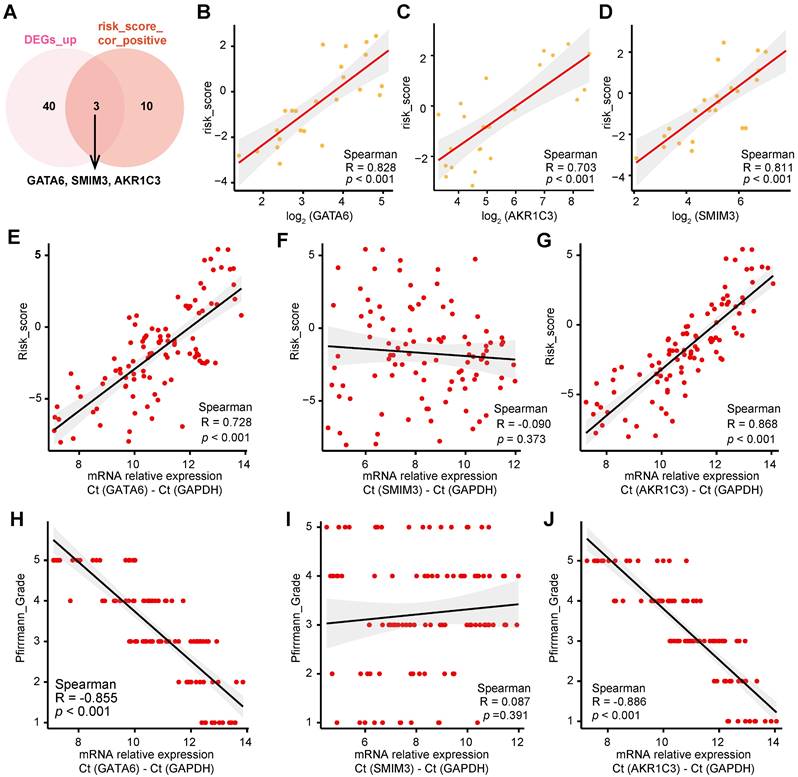 Int J Biol Sci Image