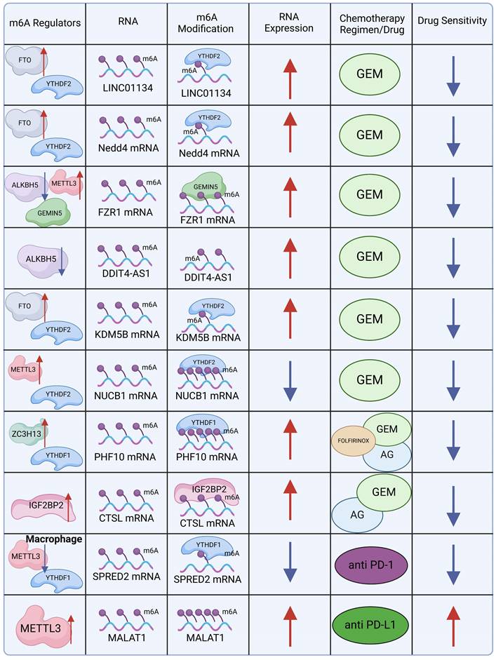 Int J Biol Sci Image