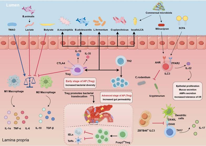 Int J Biol Sci Image