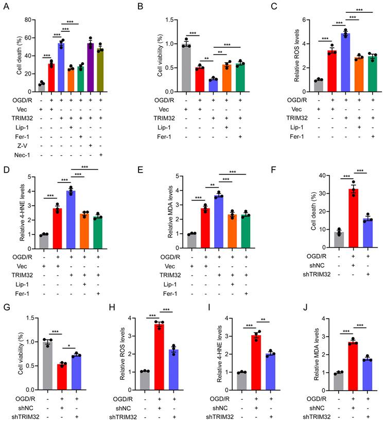 Int J Biol Sci Image