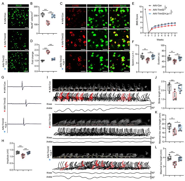 Int J Biol Sci Image