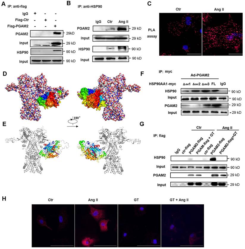 Int J Biol Sci Image