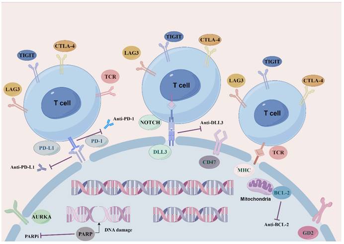 Int J Biol Sci Image