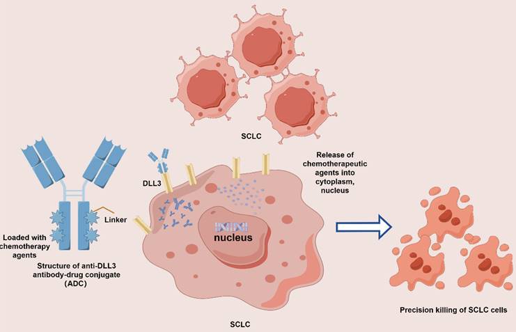 Int J Biol Sci Image