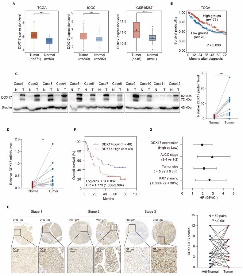 Int J Biol Sci Image