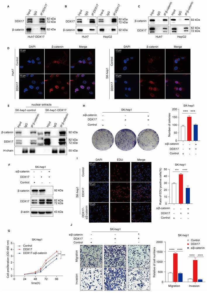 Int J Biol Sci Image