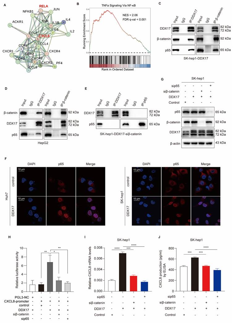 Int J Biol Sci Image