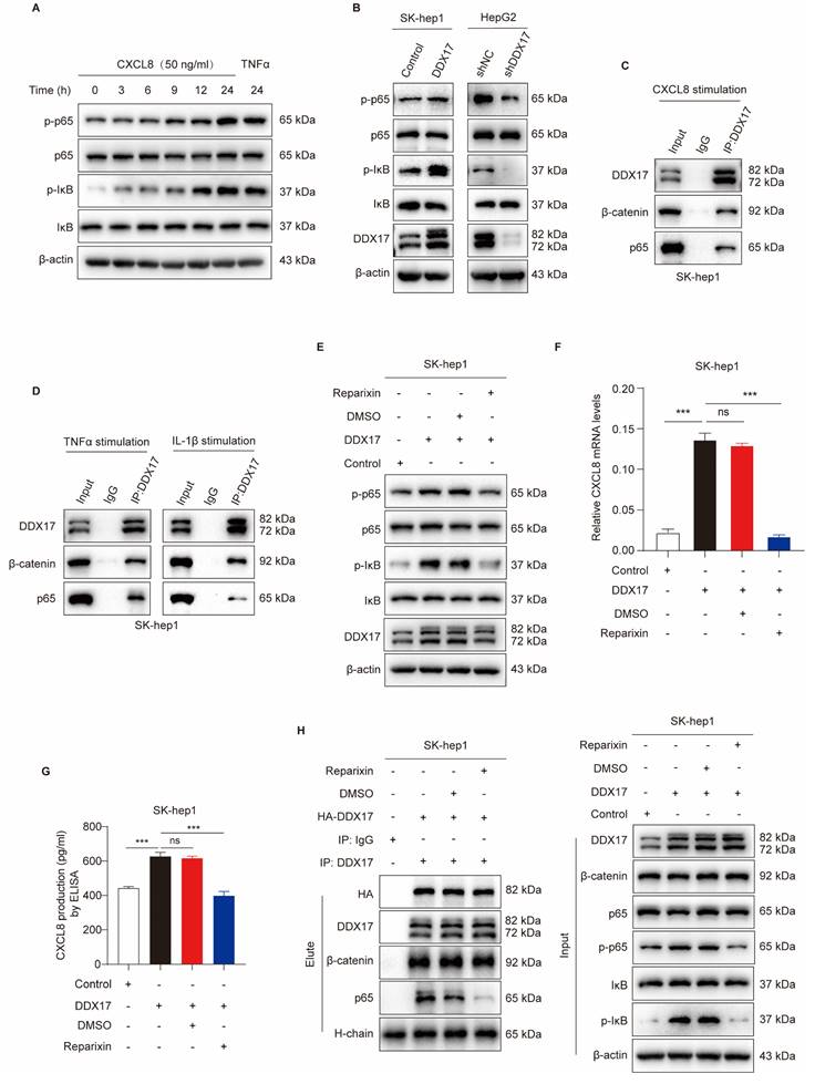 Int J Biol Sci Image