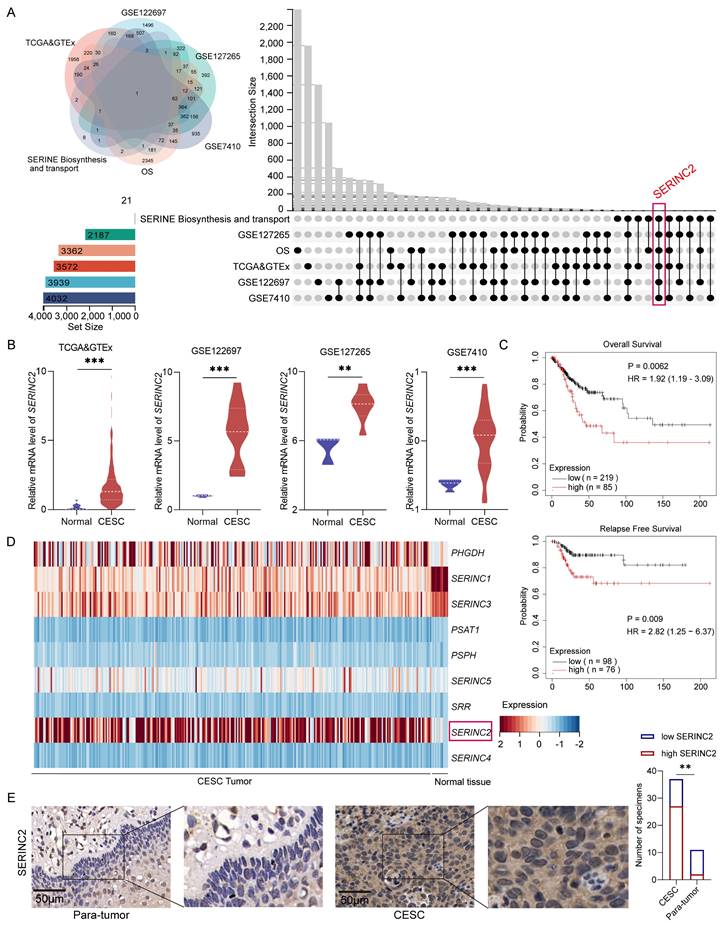 Int J Biol Sci Image