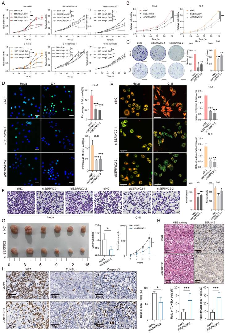 Int J Biol Sci Image