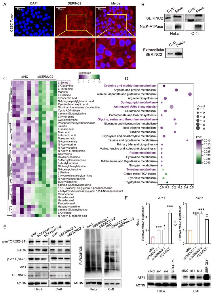 Int J Biol Sci Image