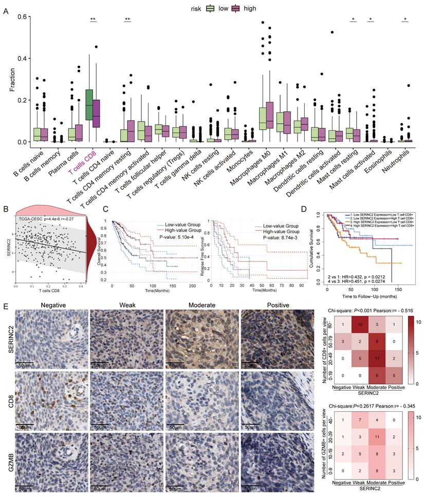 Int J Biol Sci Image