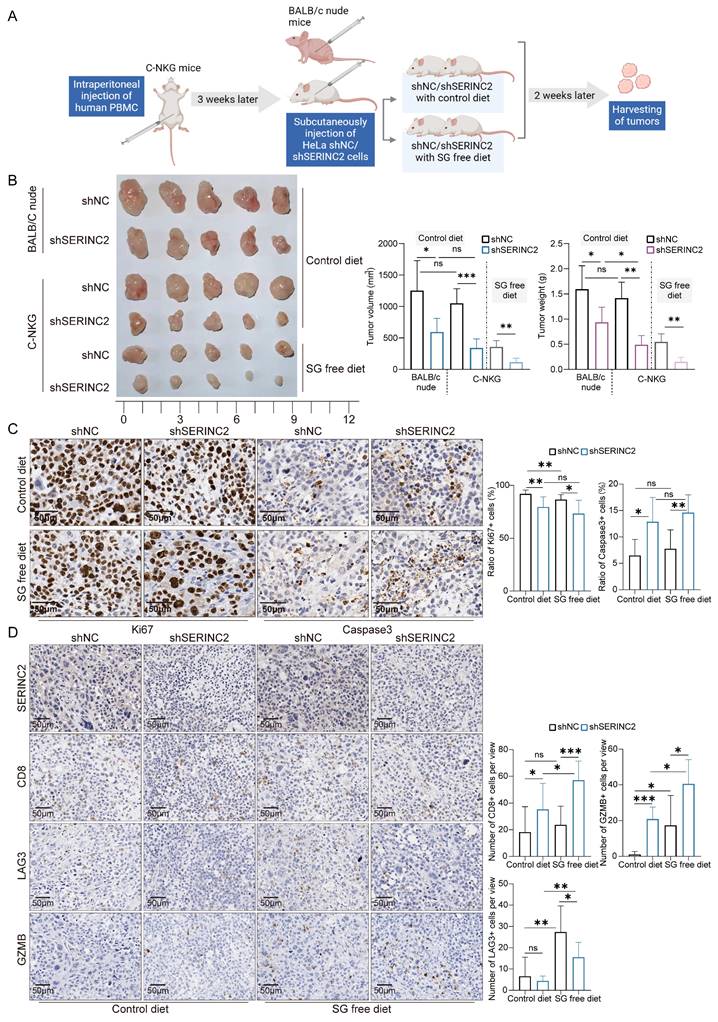 Int J Biol Sci Image