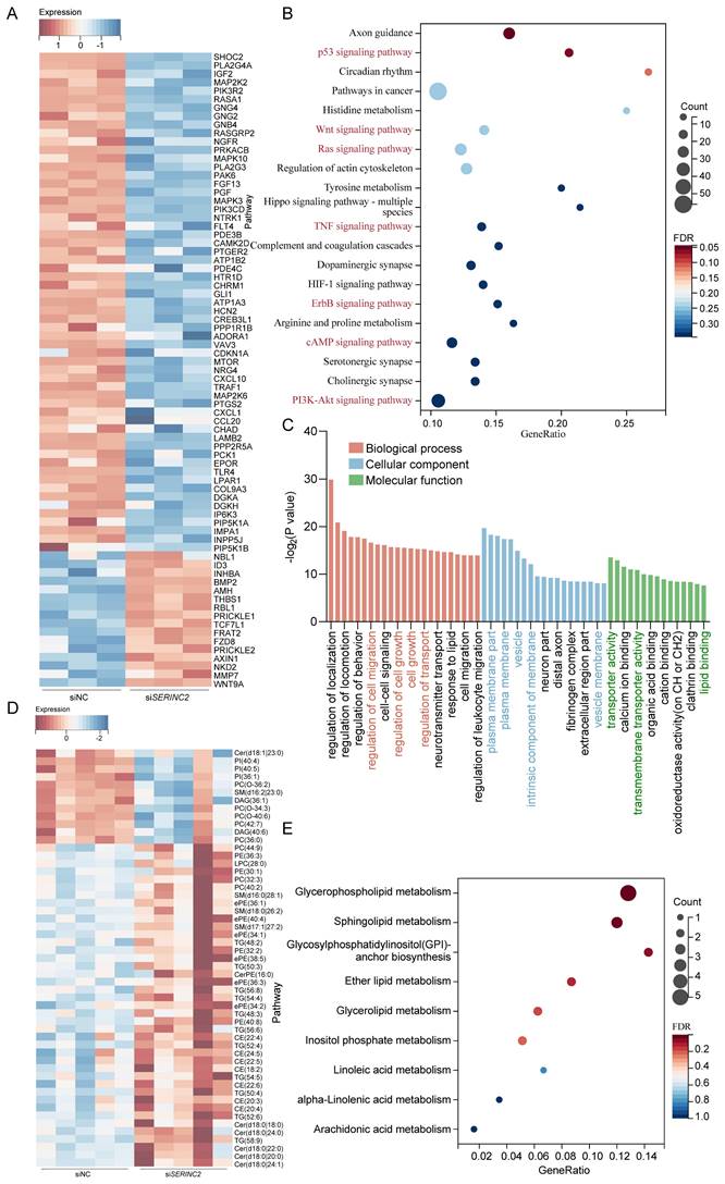 Int J Biol Sci Image