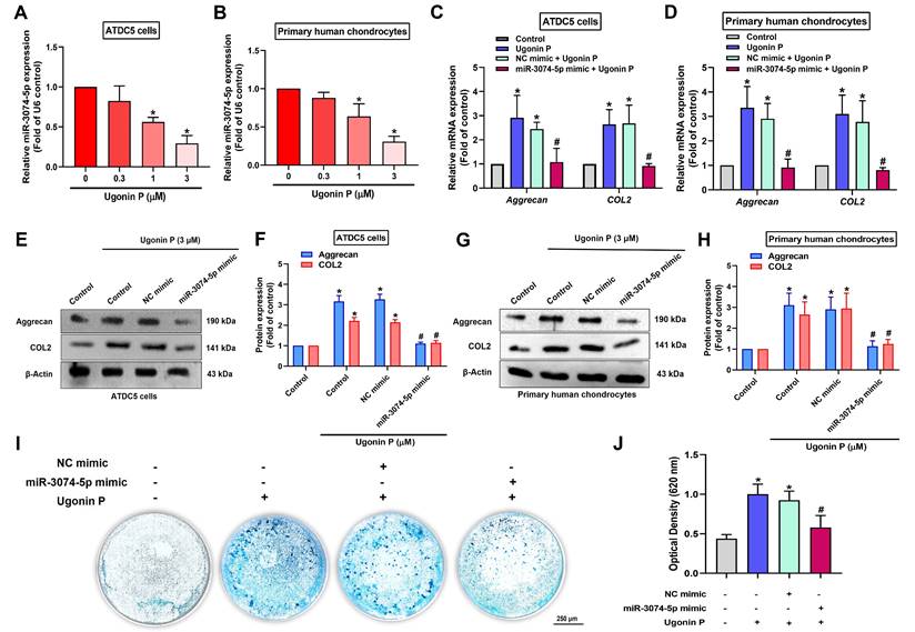 Int J Biol Sci Image