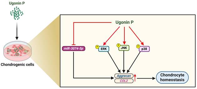 Int J Biol Sci Image