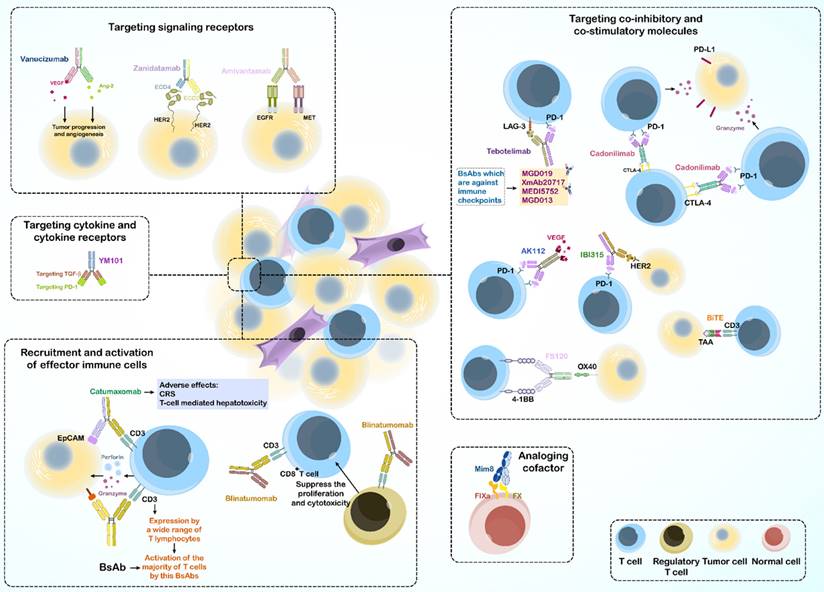 Int J Biol Sci Image