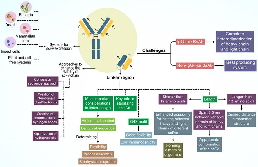 Int J Biol Sci Image