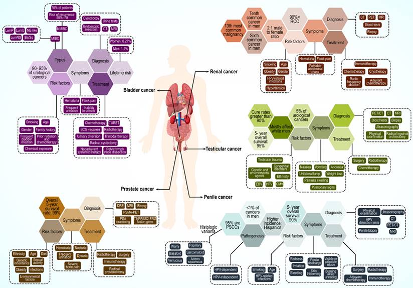 Int J Biol Sci Image