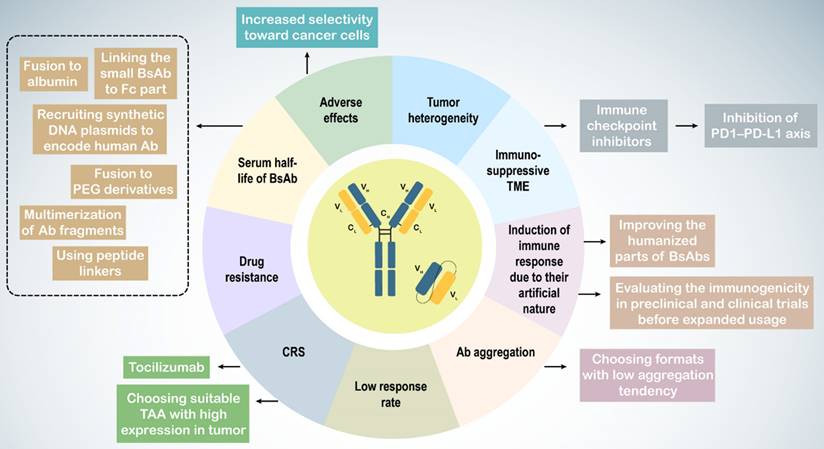 Int J Biol Sci Image