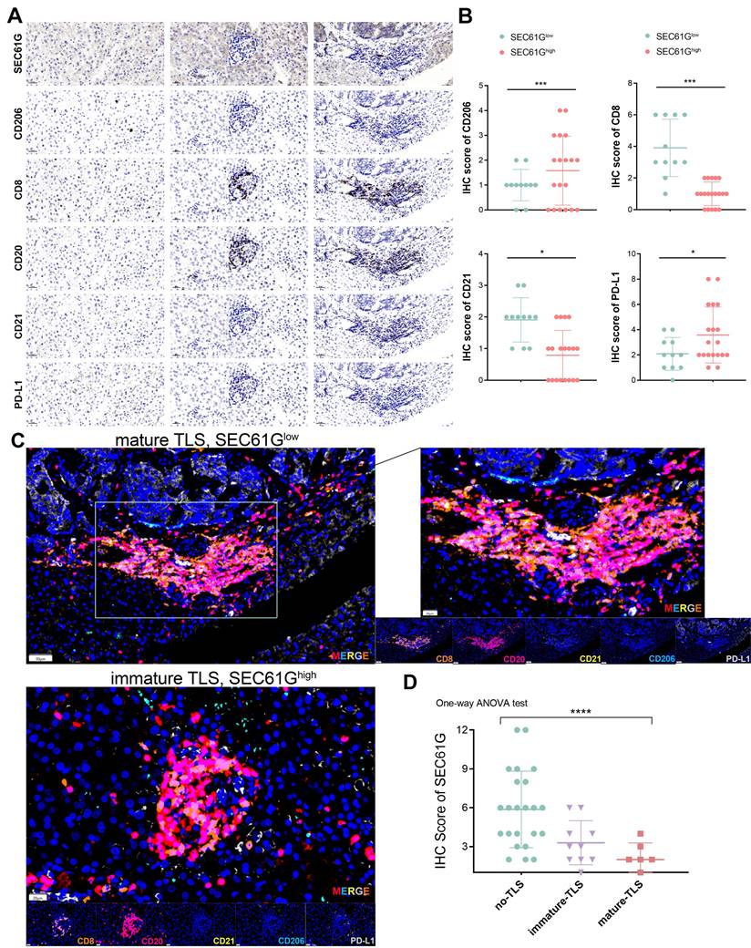 Int J Biol Sci Image