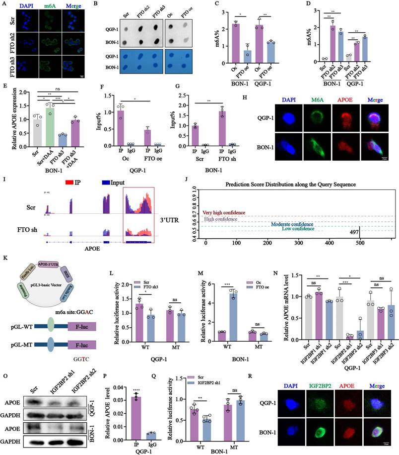 Int J Biol Sci Image