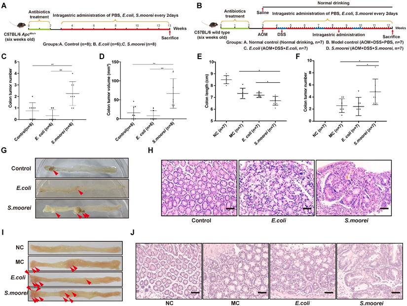 Int J Biol Sci Image