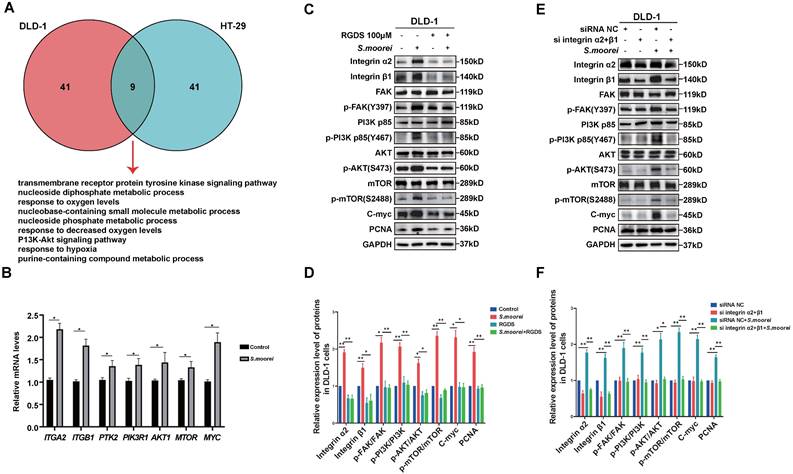 Int J Biol Sci Image