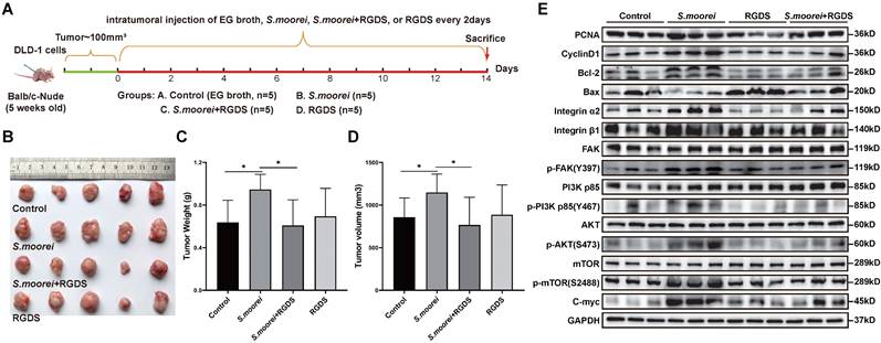 Int J Biol Sci Image