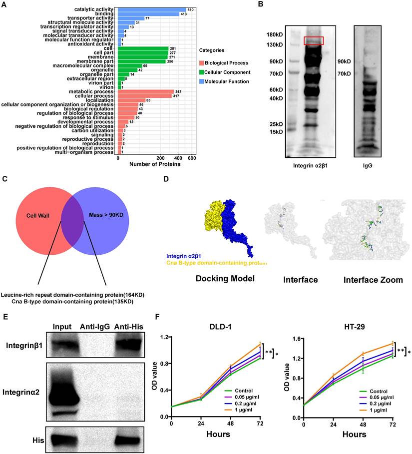 Int J Biol Sci Image