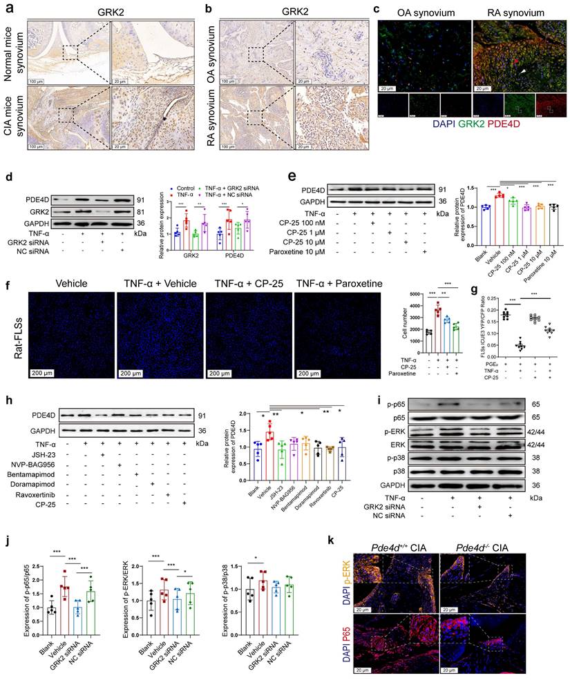 Int J Biol Sci Image