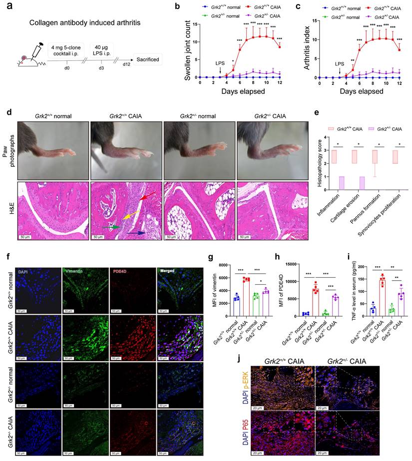 Int J Biol Sci Image