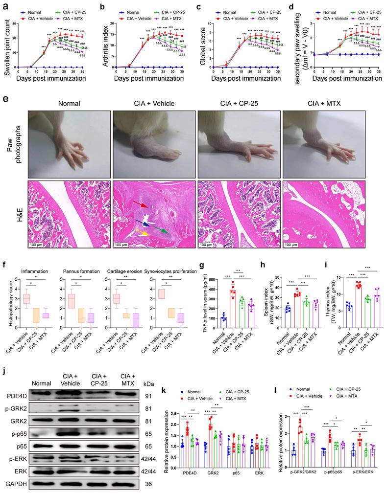 Int J Biol Sci Image