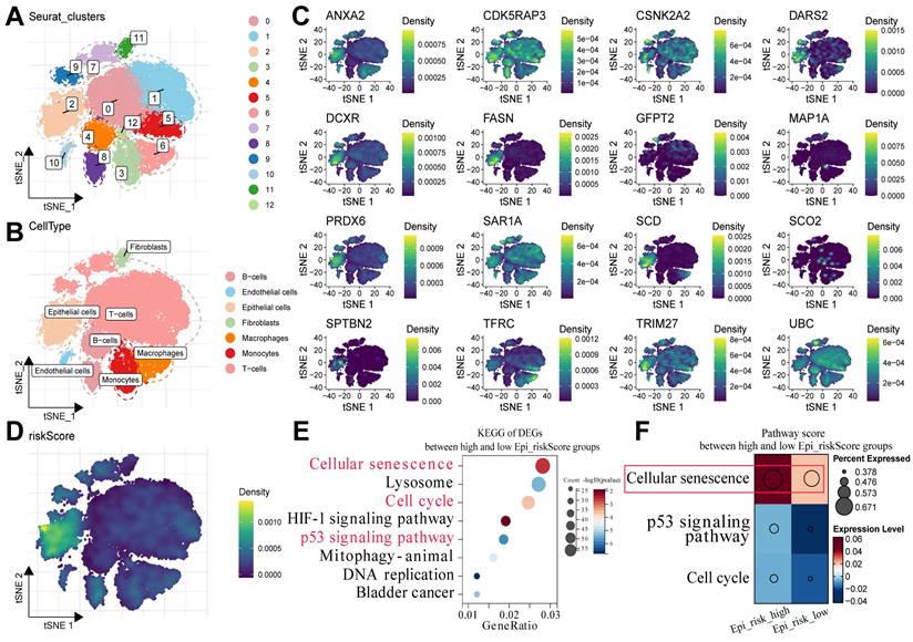 Int J Biol Sci Image