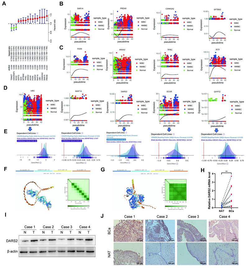 Int J Biol Sci Image