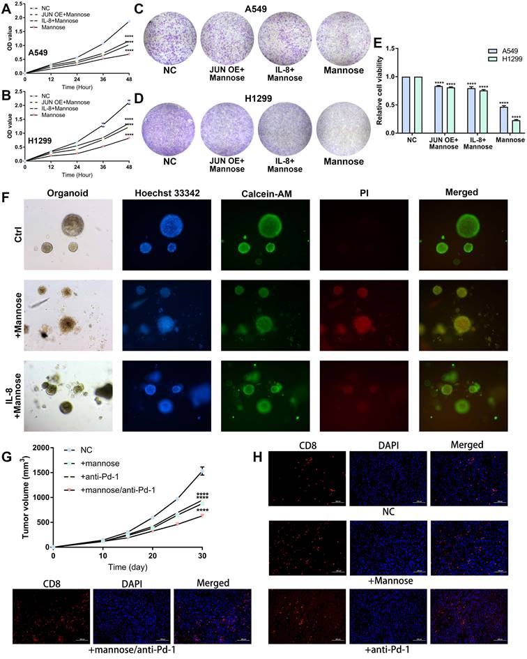 Int J Biol Sci Image