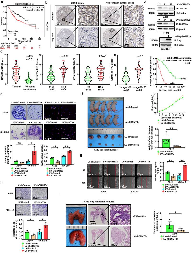 Int J Biol Sci Image