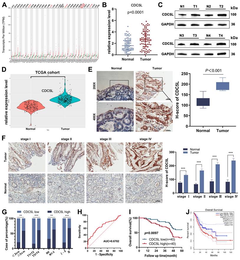 Int J Biol Sci Image