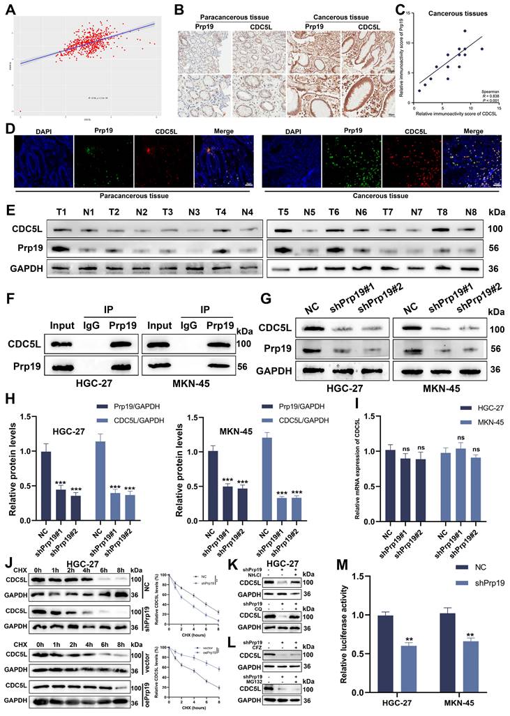 Int J Biol Sci Image