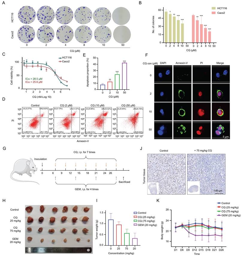 Int J Biol Sci Image